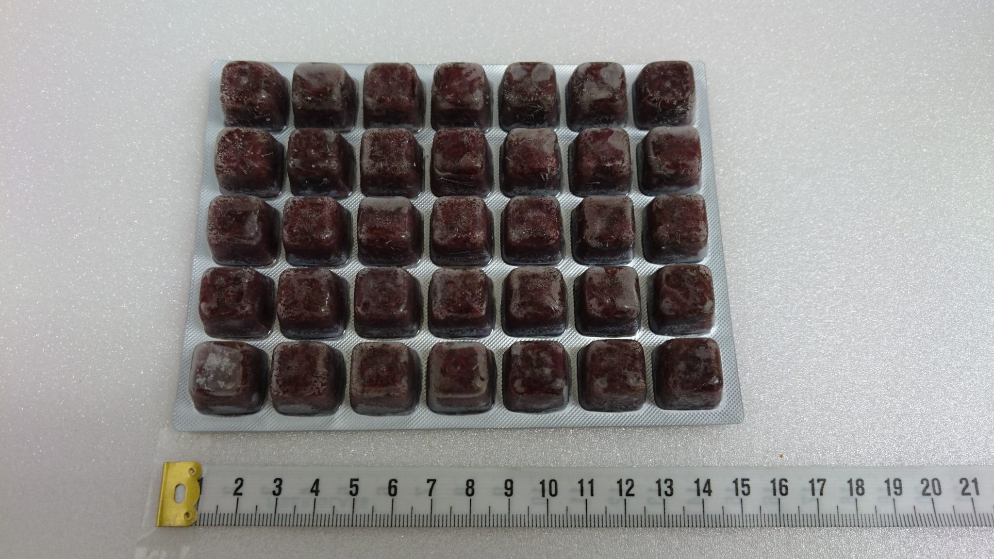 冷凍アカムシ12枚 爬虫類専門店 Satisfactory 大阪 梅田