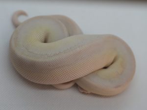 サムネイル1