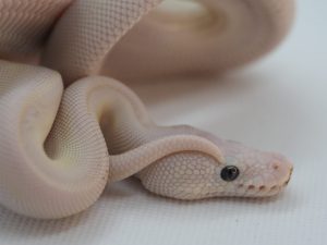 サムネイル1