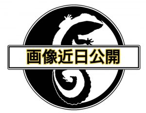 サムネイル1