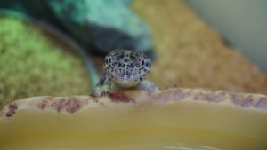 サムネイル1