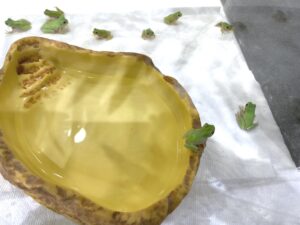 サムネイル1