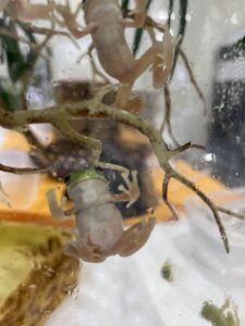 サムネイル1